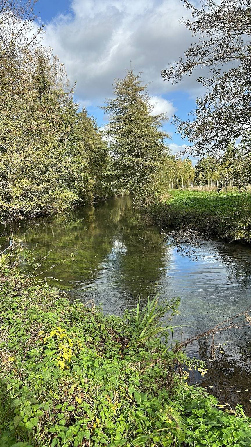 Foto 10 von 12: Landhaus 'Chez Tobi' mit privatem Pool, WLAN und Klimaanlage