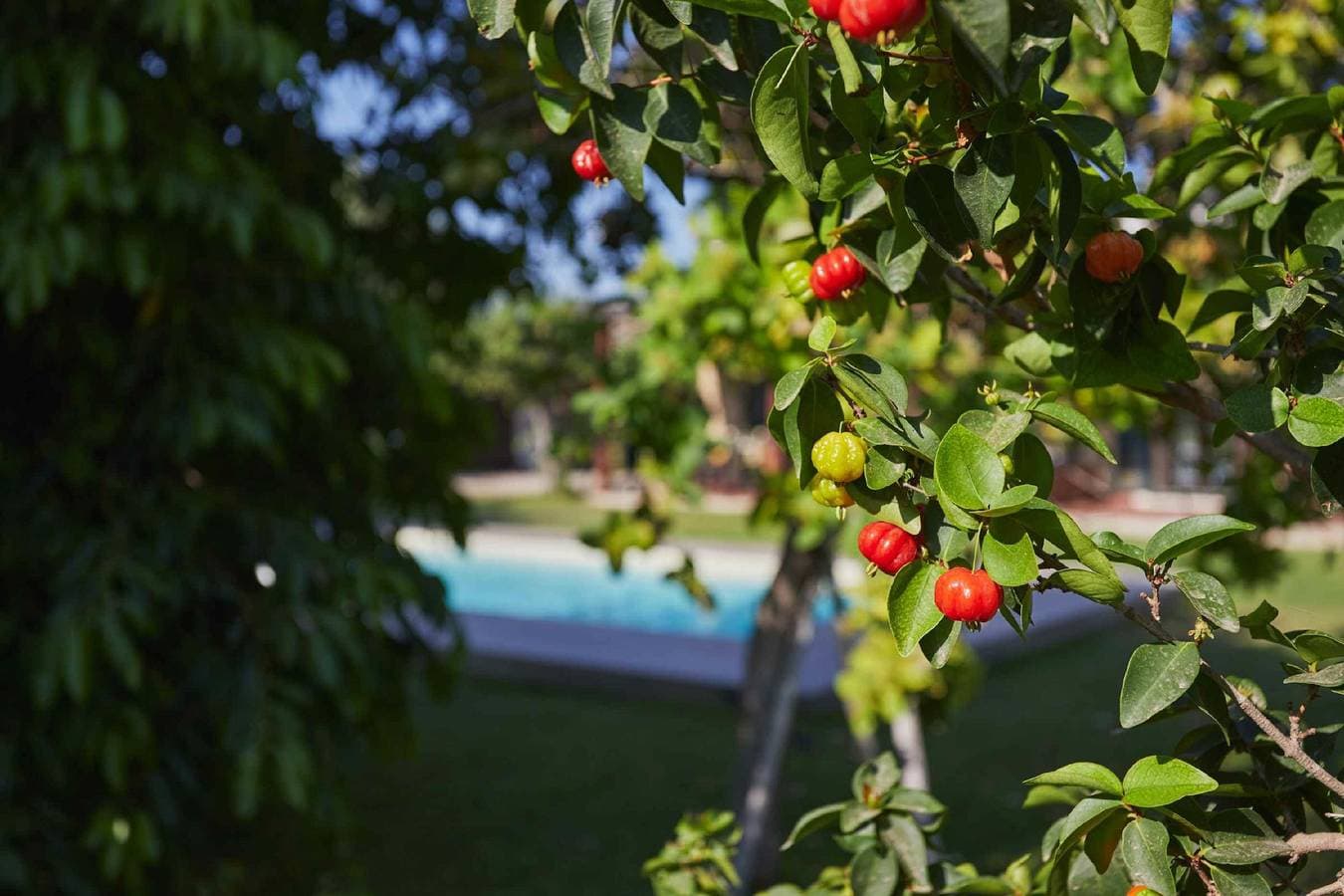 Foto 3 von 97: Casale della Pergola, eco-friendly, pool