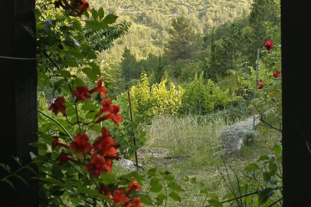 Foto 7 von 21: Green dream in Cetina canyon