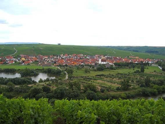 Foto 2 von 10: Ferien- und Winzerhof Ute Braun - Ferienstudio Vinzenz mit Balkon