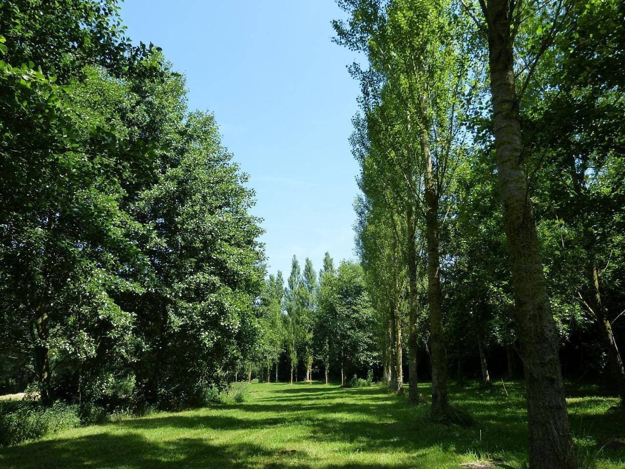 Foto 10 von 33: Holiday Home