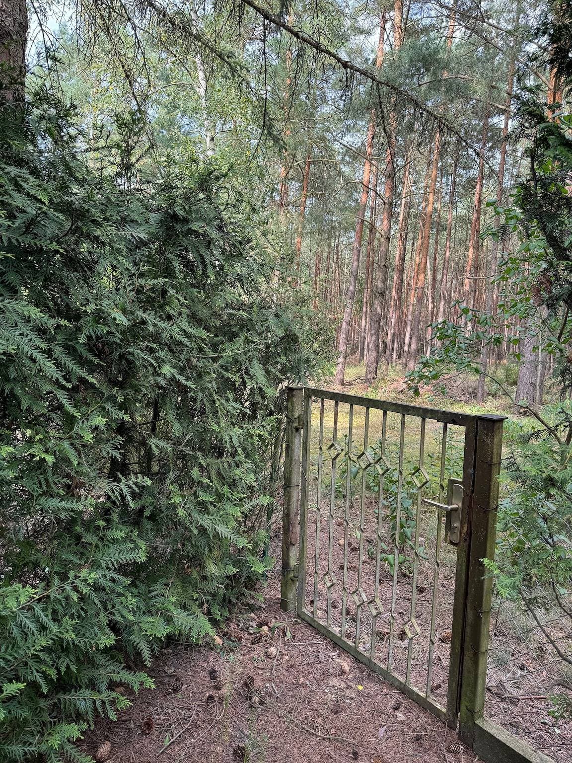 Foto 11 von 36: Ferienhaus 'Haus Waldidyll Am Briesensee' mit privater Terrasse, privatem Garten und Wi-Fi