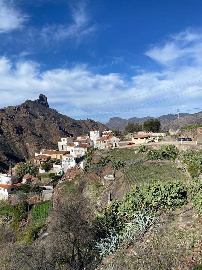 Nature in Tejeda 1