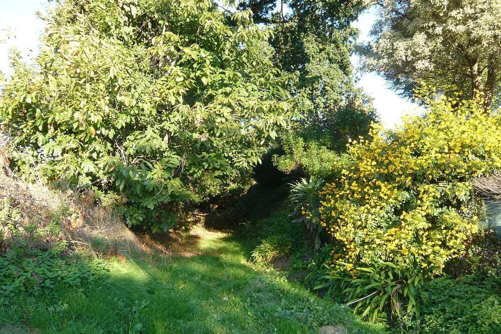 Foto 11 von 19: \"Chestnut, between land and sea