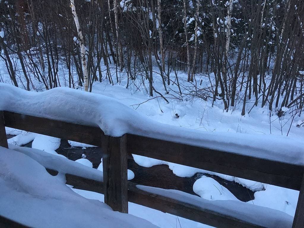 Foto 12 von 49: Charming Year Round Beach Cottage in Keweenaw, 3km zu Calumet