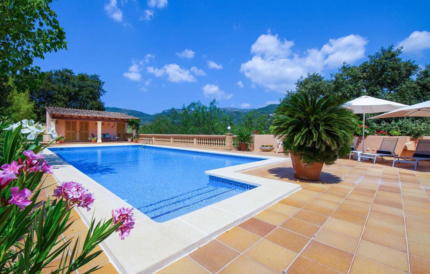 Foto 4 von 52: Modernes Apartment mit Terrasse, Pool und Grill, nahe dem Stadtzentrum