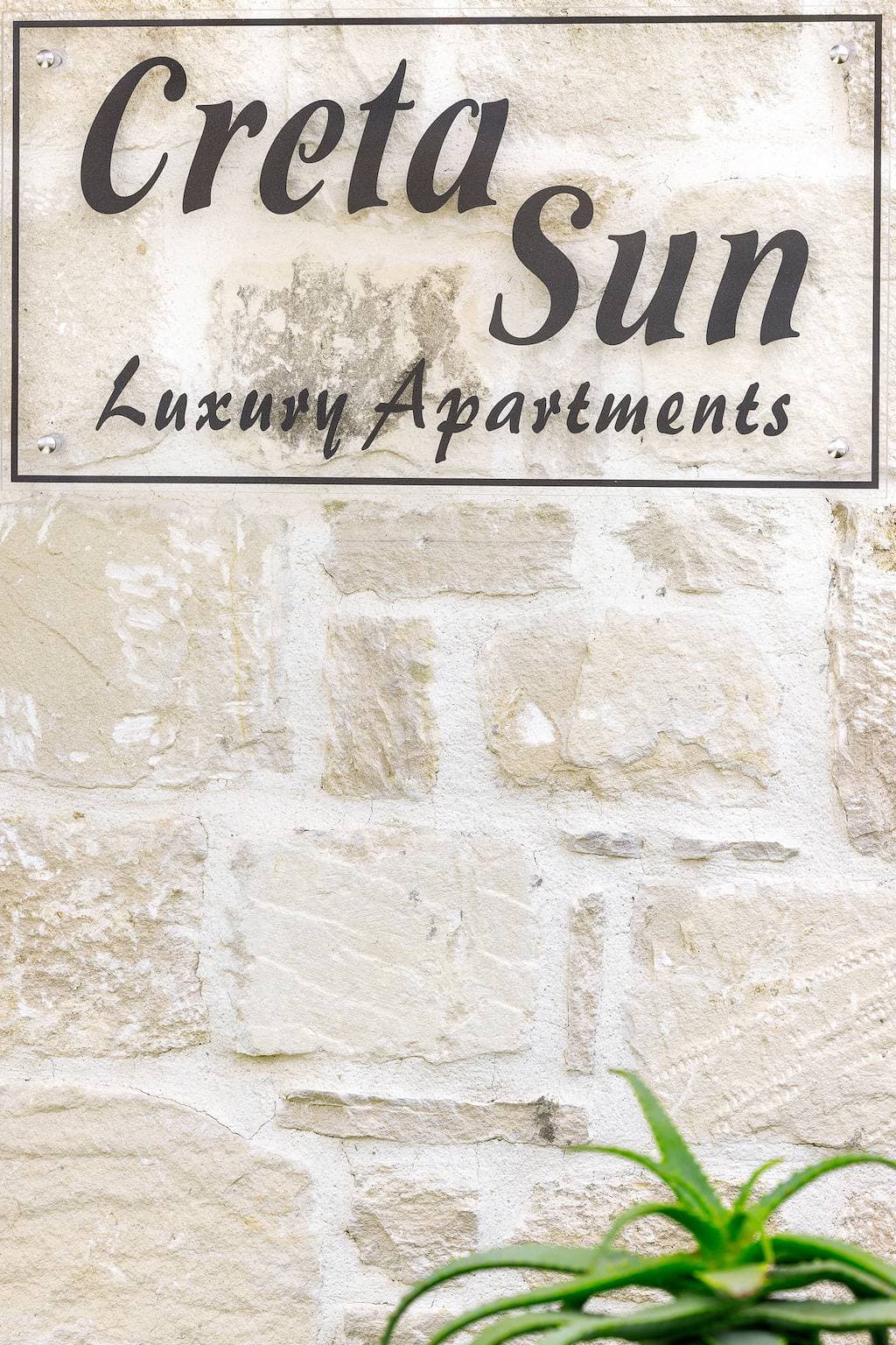 Foto 13 von 19: Creta Sun, 111 Studio City View