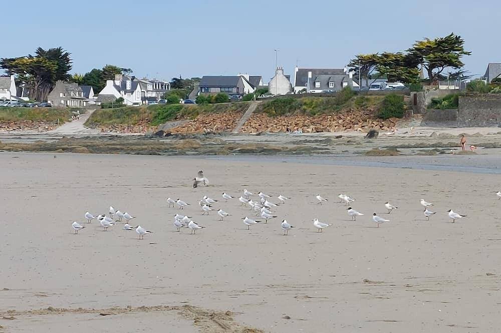 Foto 11 von 13: Renoviertes Steinhaus in der Bretagne