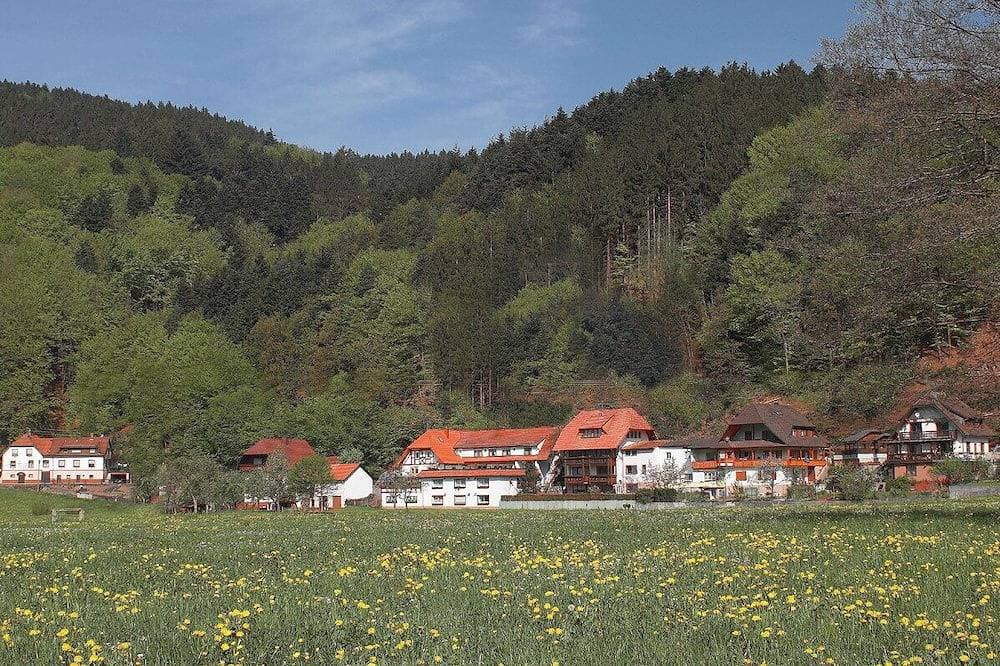 Ferienwohnung am Rain im südlichen Schwarzwald - Top Ausstattung 1