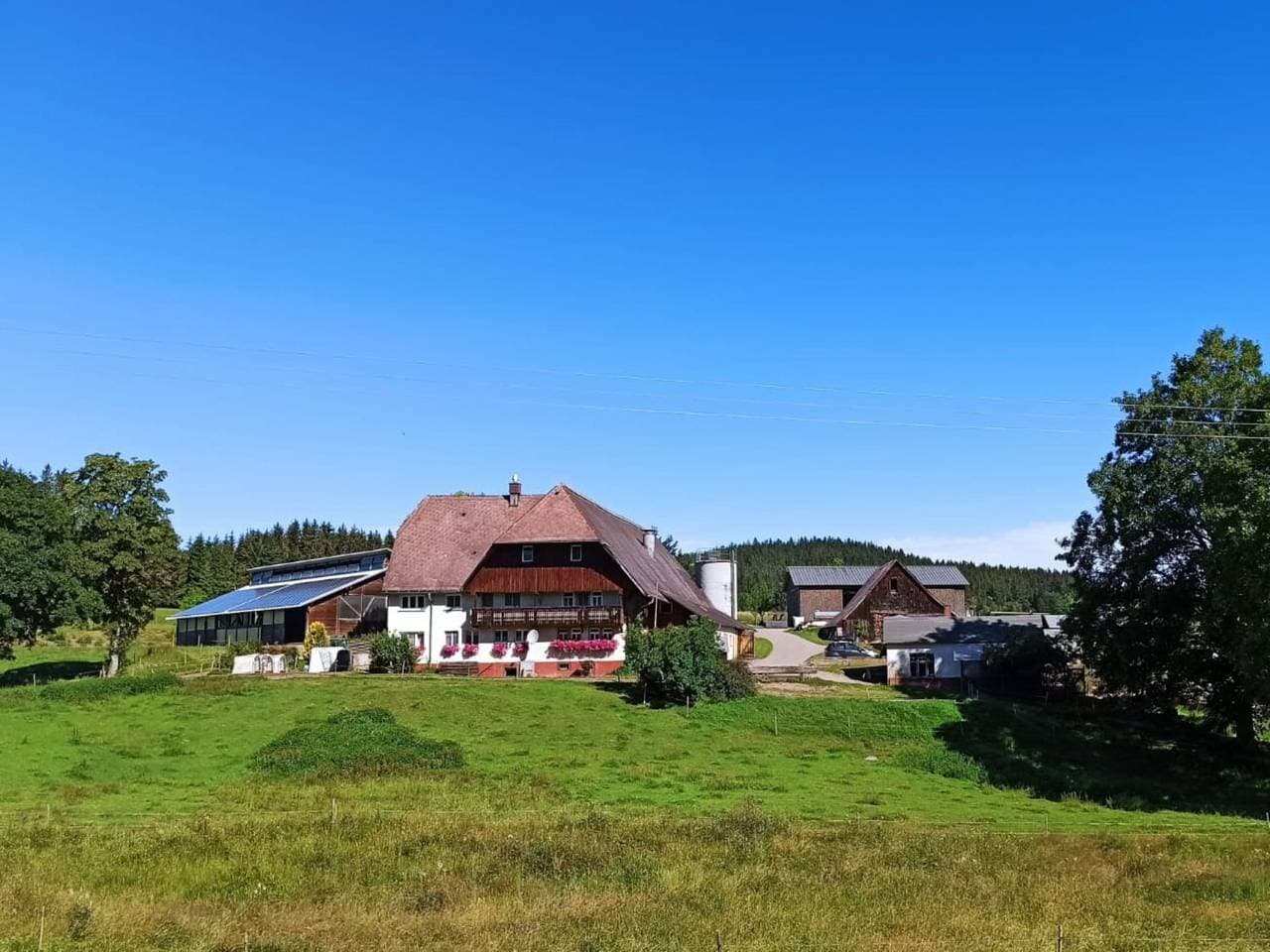Zuckerbauernhof Weideblick 1
