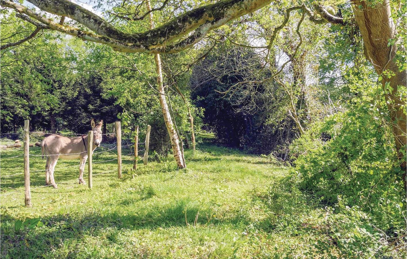 Foto 7 von 23: Gemütliches Gartenapartment bei Vasteville, TV & Internet