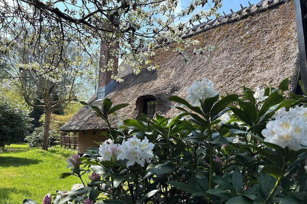Foto 12 von 30: Charmantes Reetdachhaus nah am Wasser