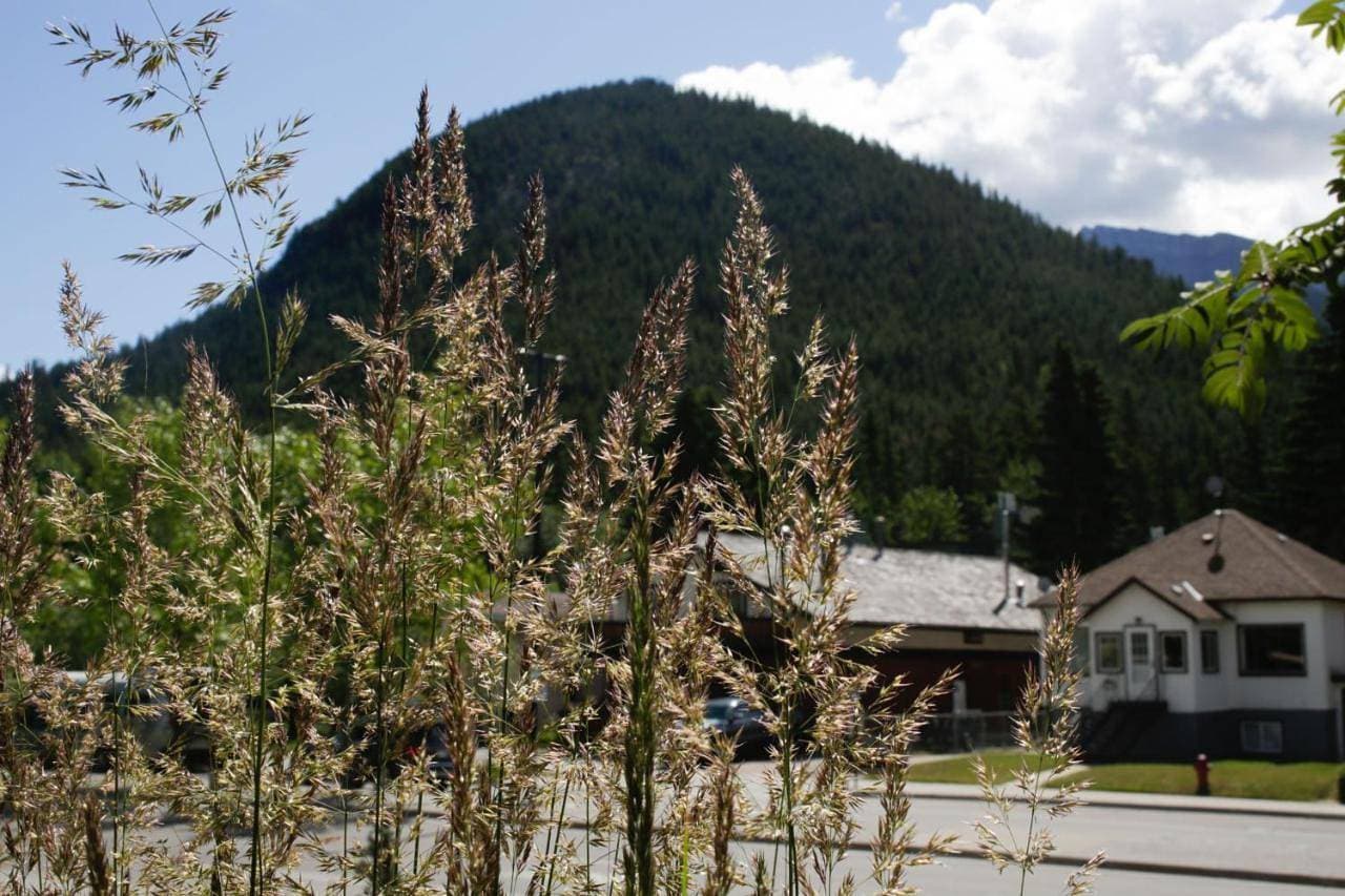 Foto 12 von 83: High Country Inn