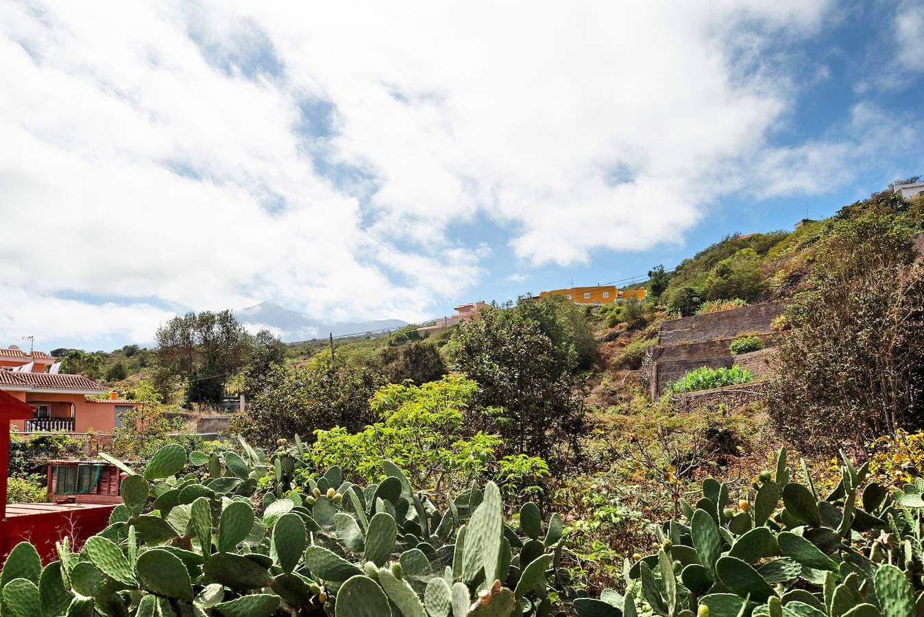 Foto 4 von 21: Ferienhaus 'La Casa De Amalia' mit Bergblick in Garachico