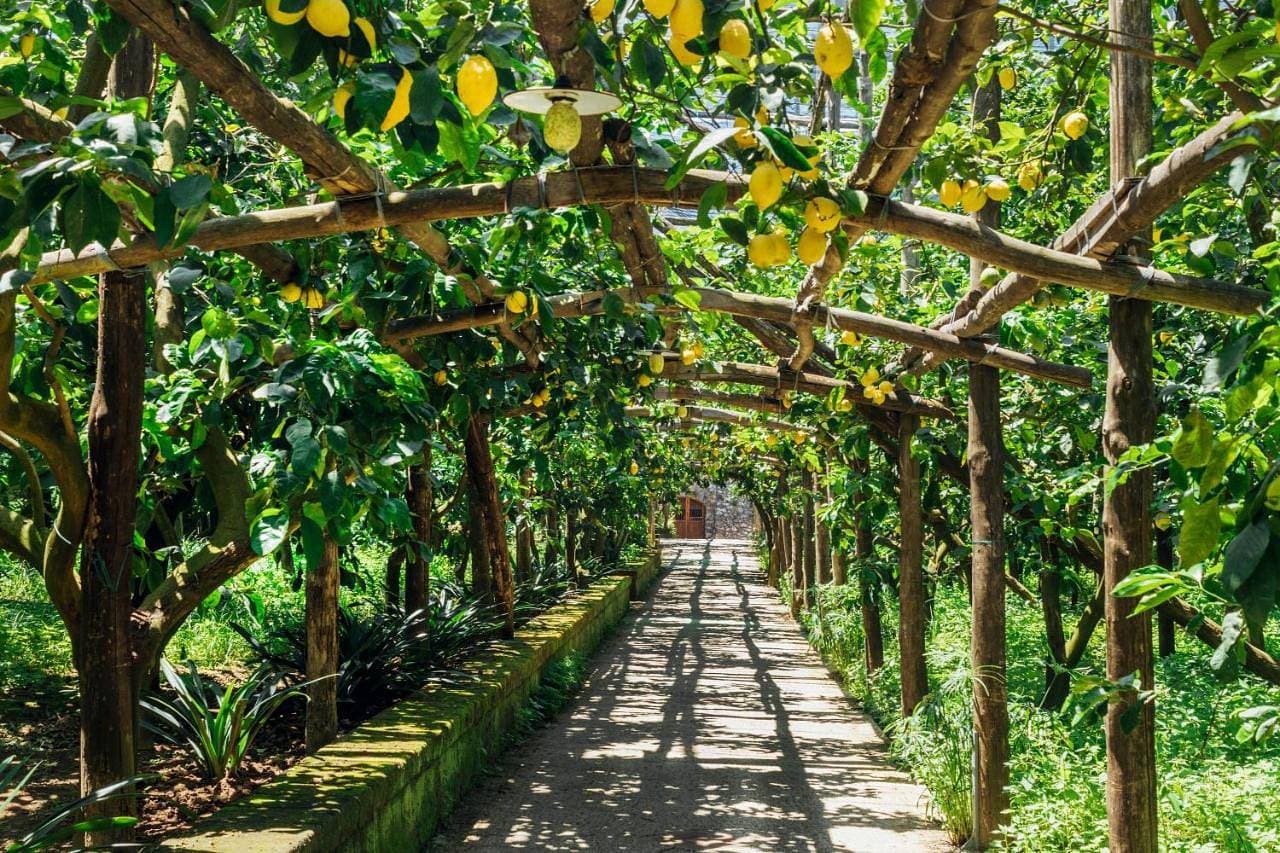 Agriturismo Il Giardino di Vigliano 1