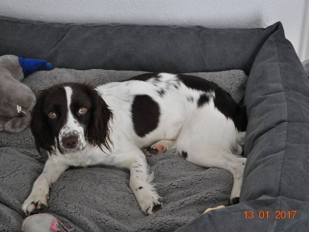 Foto 11 von 22: Ferienwohnung mit 1 Schlafzimmer