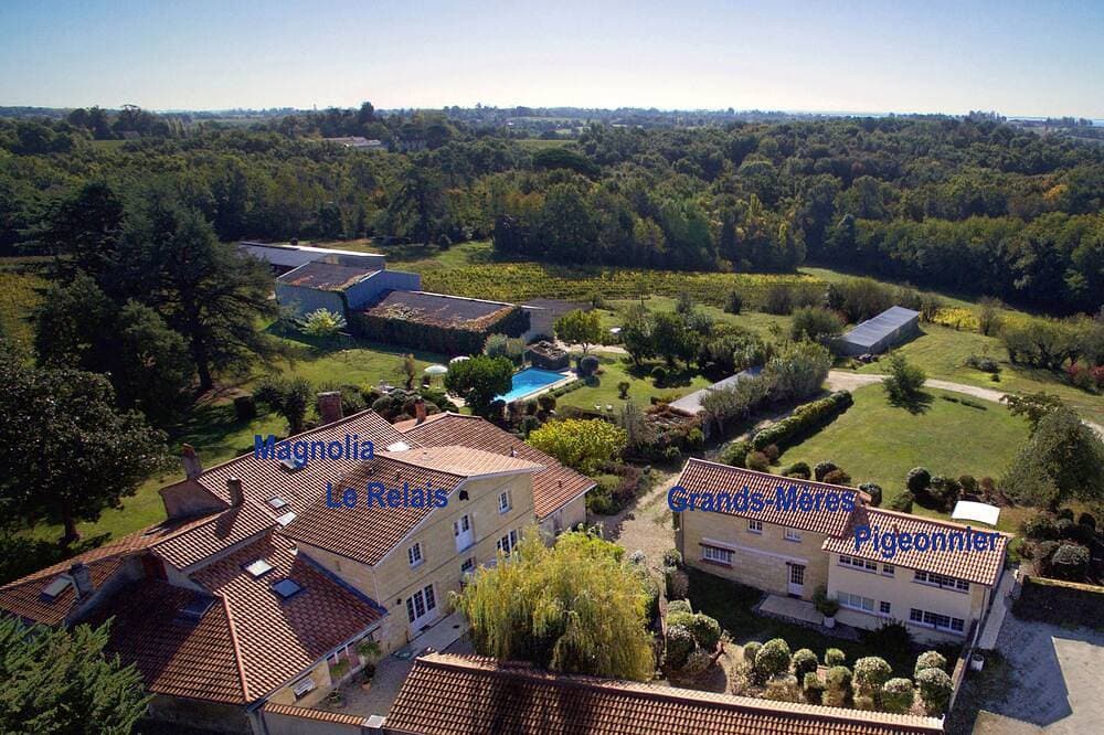 Foto 13 von 30: Erleben Sie Bordeauxs schöne Landschaft auf einem Weingut, nur 20 Minuten von Bordeaux entfernt