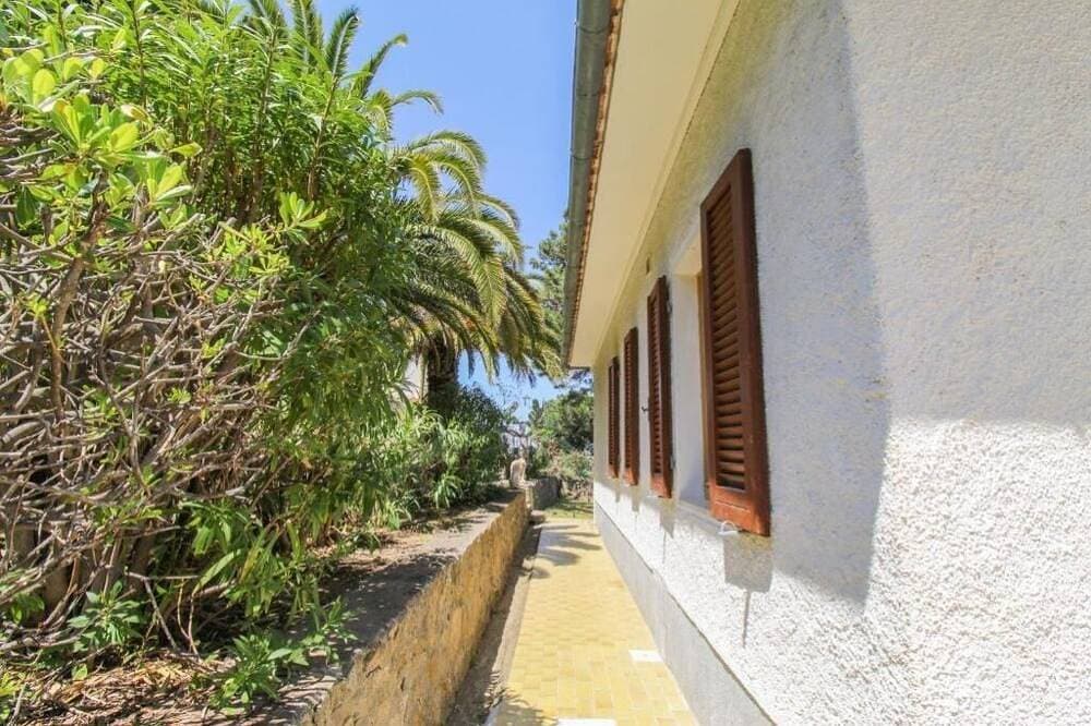 Foto 12 von 30: Bougainvillea Overview House