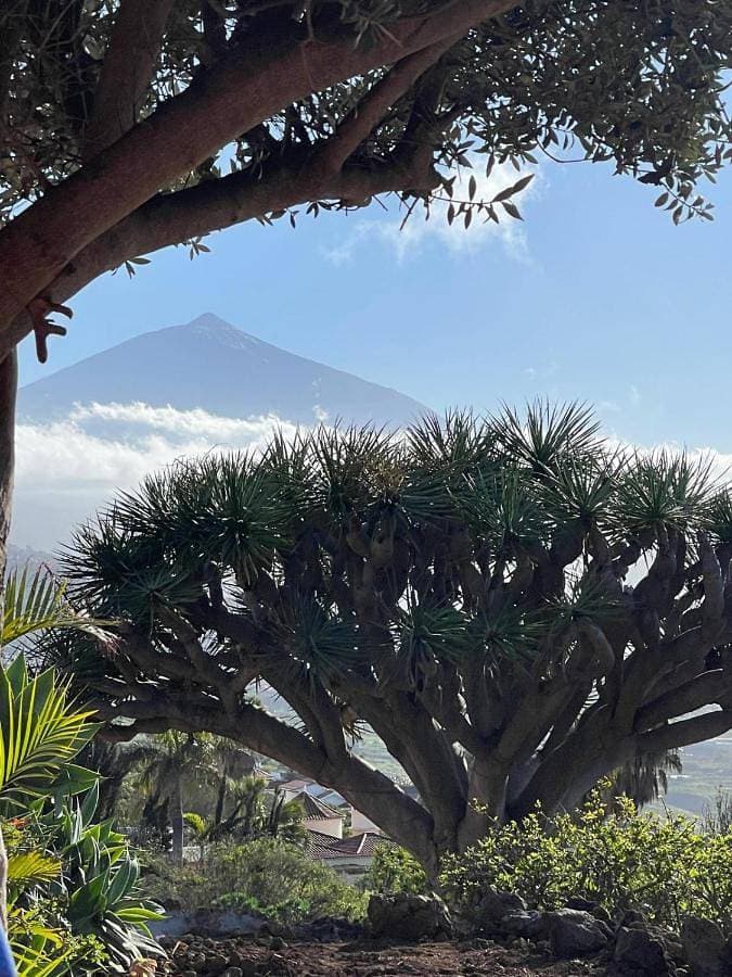 Great views & heated pool - El Perenquen 5 1