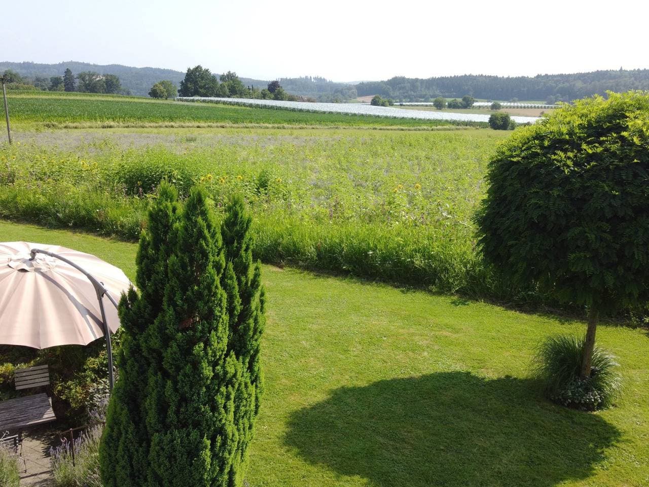 Foto 5 von 26: Appartement in Beuren mit Terrasse und Grill