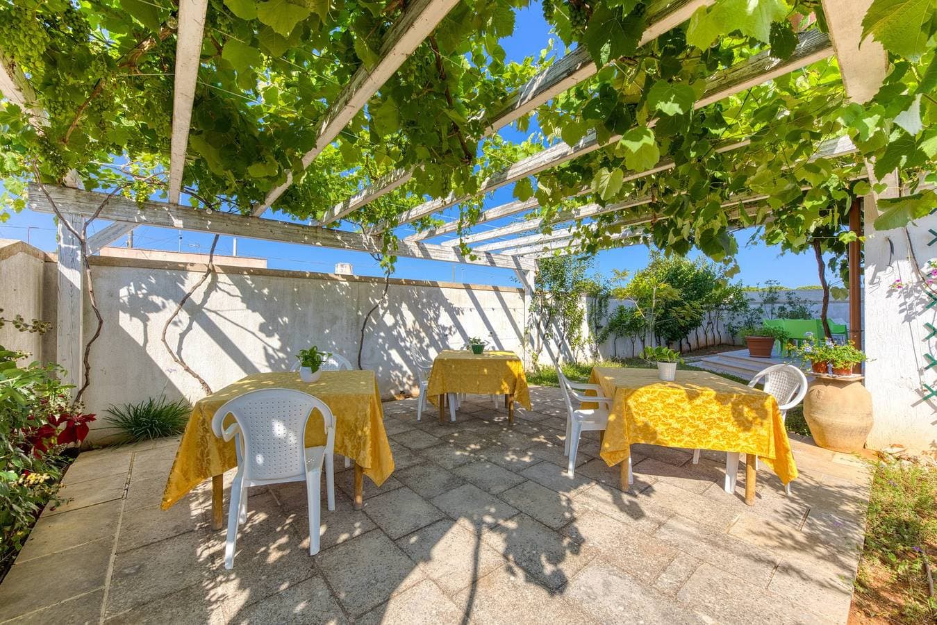 Foto 2 von 29: Pension 'Tallyho Calendula' mit gemeinsamer Terrasse, Wi-Fi und Klimaanlage