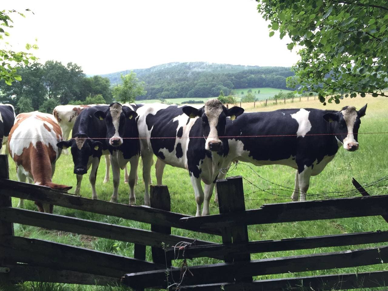 Foto 4 von 14: Ferienhof Koch - Doppelzimmer