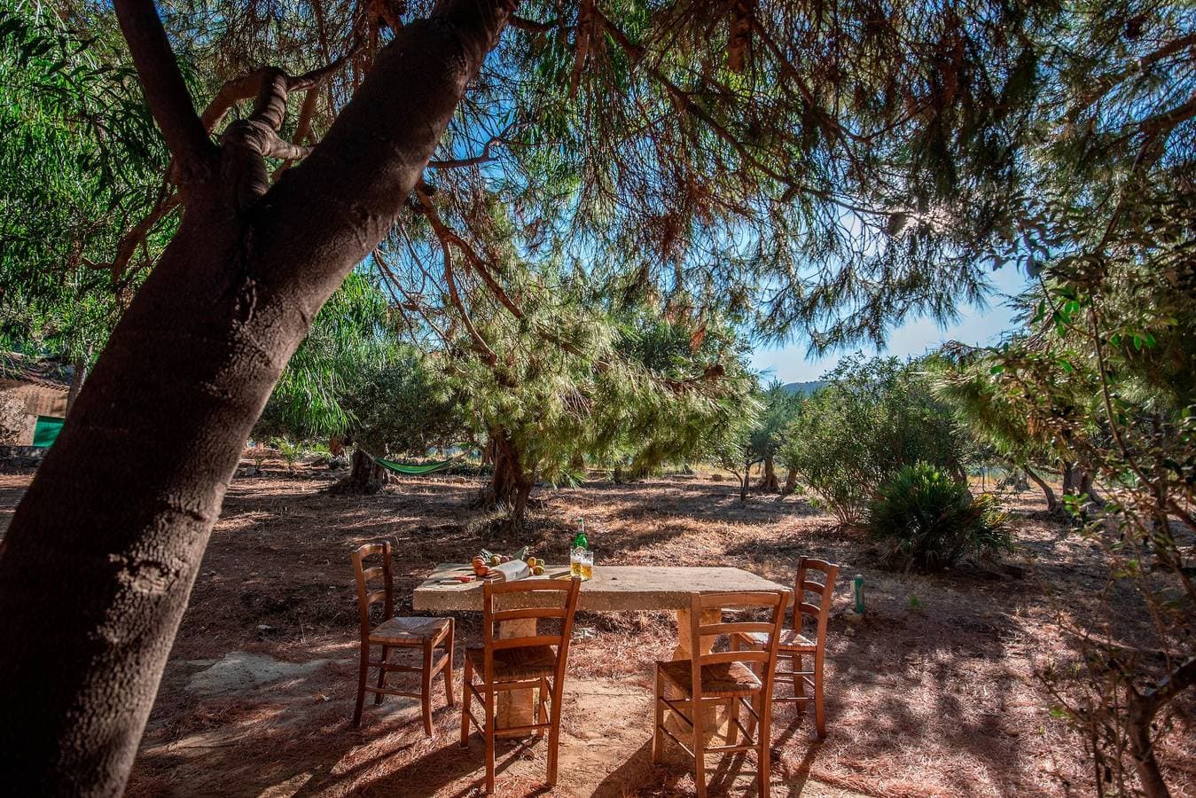 Foto 4 von 34: Ferienhaus Casina ai Fraginesi mit Bergblick, Gemeinschaftsgarten und WLAN
