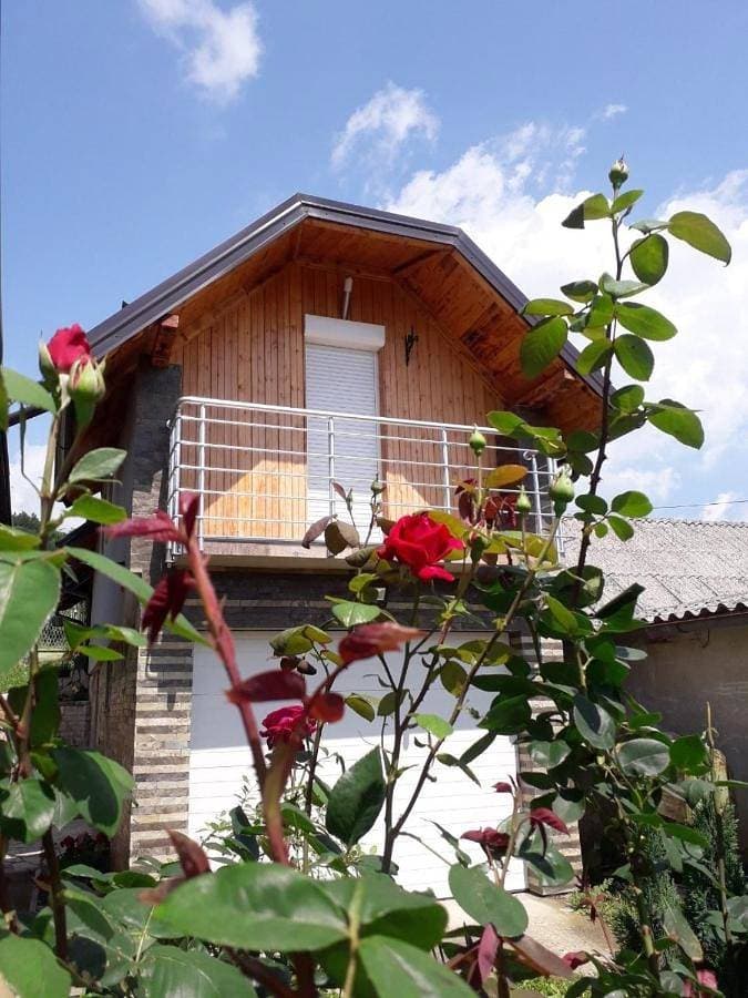 Apartman Darija 1