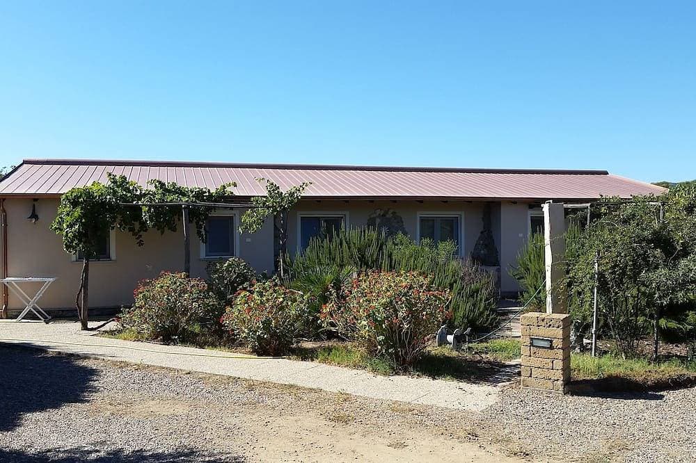 Ferienhaus mitten in einem Olivenhain und Mittelmeermacchia 1