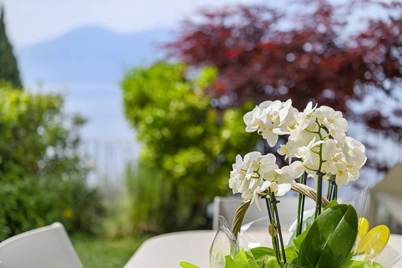 Foto 10 von 25: Ferienwohnung "Residenz La Mignon Oleandri" mit Blick auf den See, Bergblick und Garten