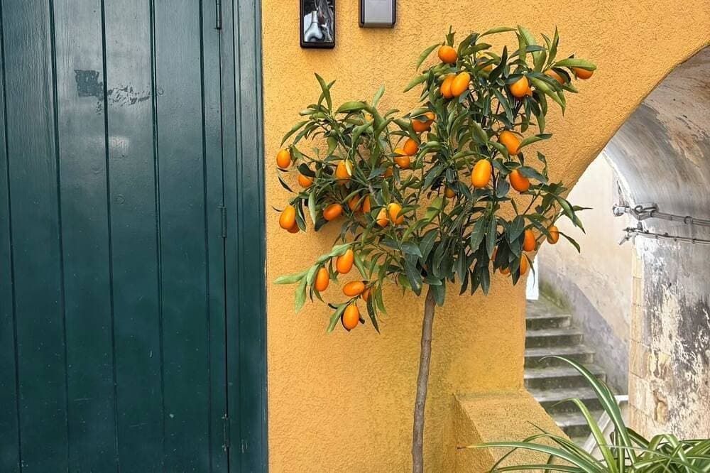 Foto 11 von 23: MiLù Sicily House, with this downtown accommodation, you'll be close to everything.