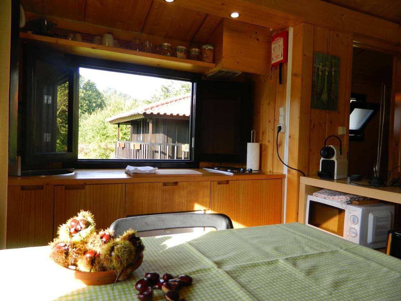 Foto 12 von 44: Bungalow with Garden View