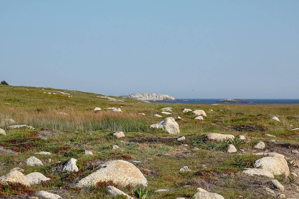 Foto 6 von 39: Idyllisches Cottage am Meer, in der Nähe von Peggy's Cove!