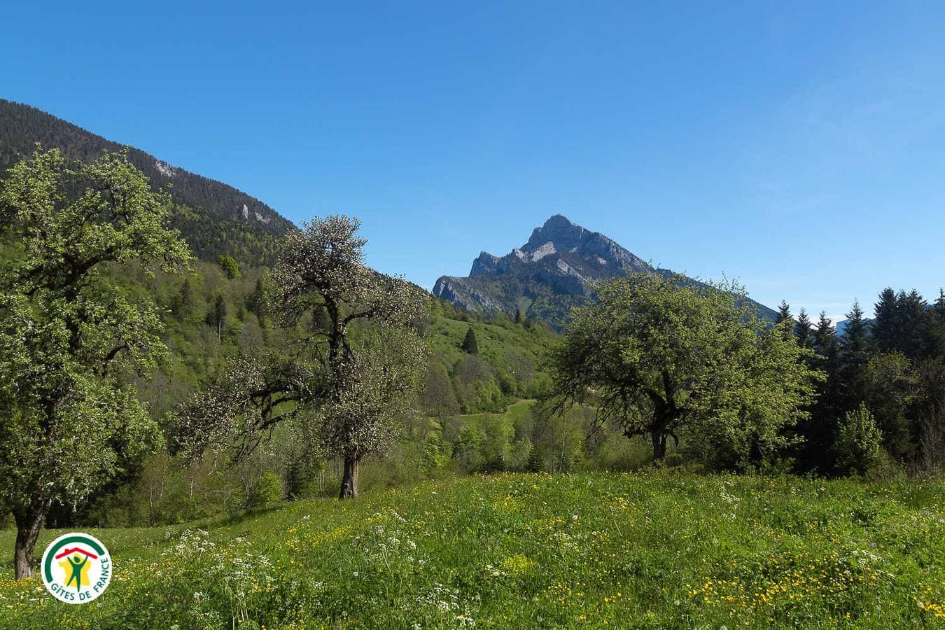 Foto 8 von 25: La Centaurée