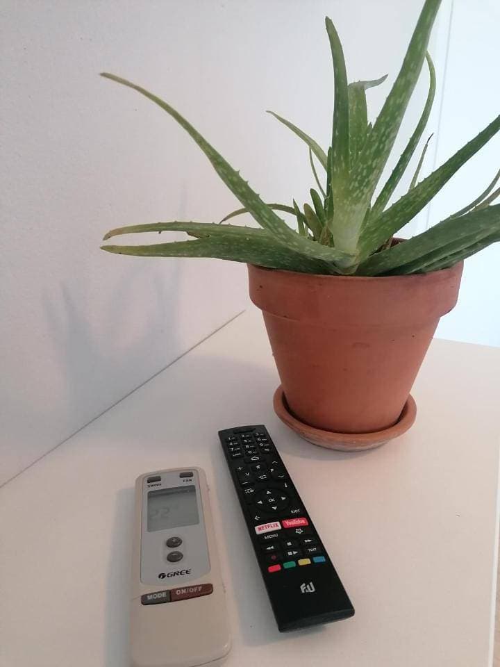 Foto 11 von 30: Studio
