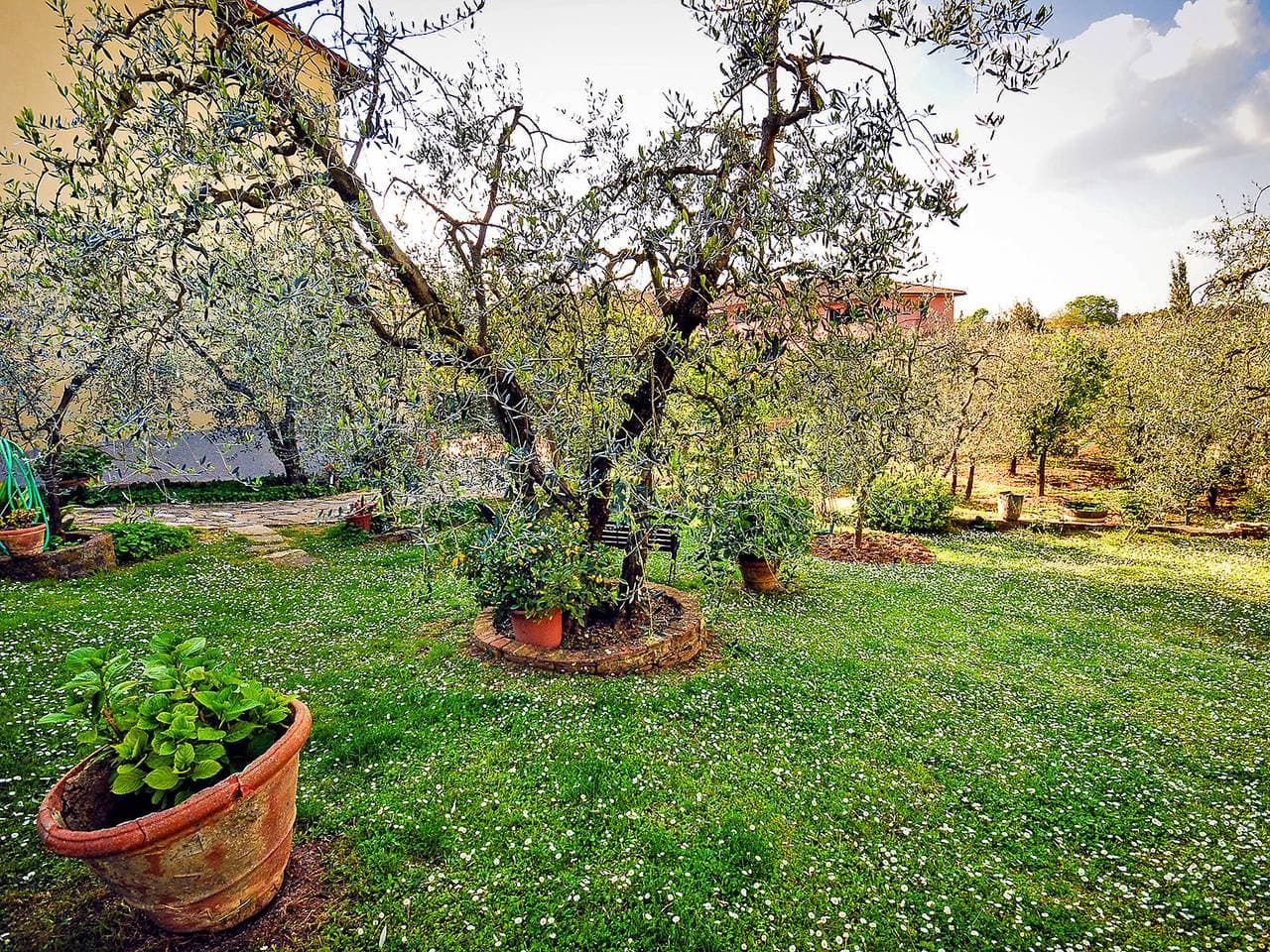 Foto 10 von 15: Matteuzzi