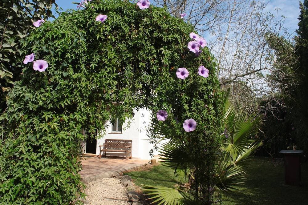 Foto 9 von 12: Finca la Hijuela, Casa Tepuana  fur 2, 3 oder 4 personen