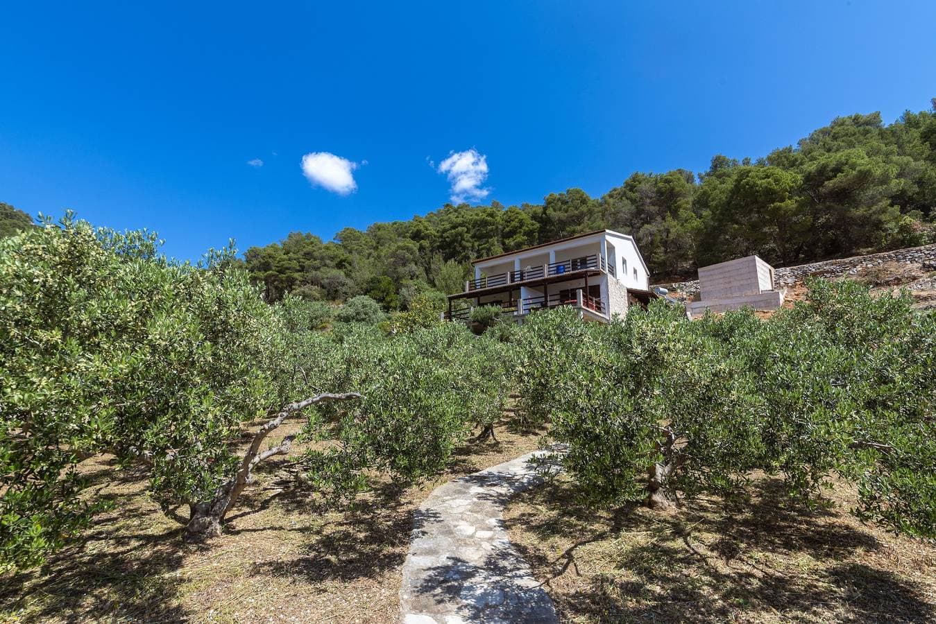 Foto 10 von 27: Studio Appartement mit Terrasse und Meerblick Bucht Torac, Hvar As-24462-a