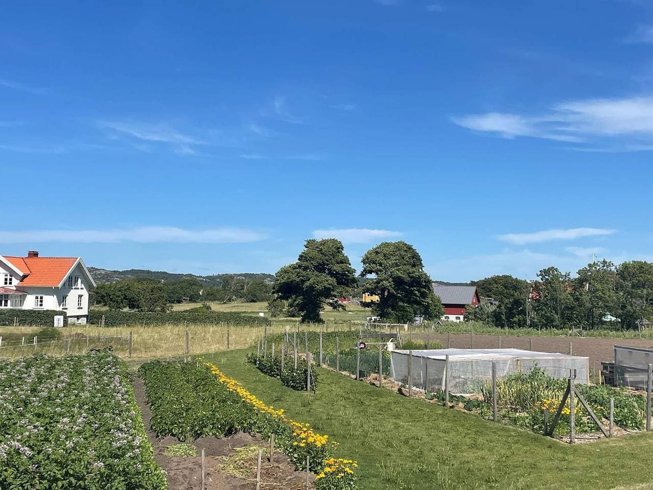 Foto 8 von 28: 4 Personen Ferienhaus in Skärhamn