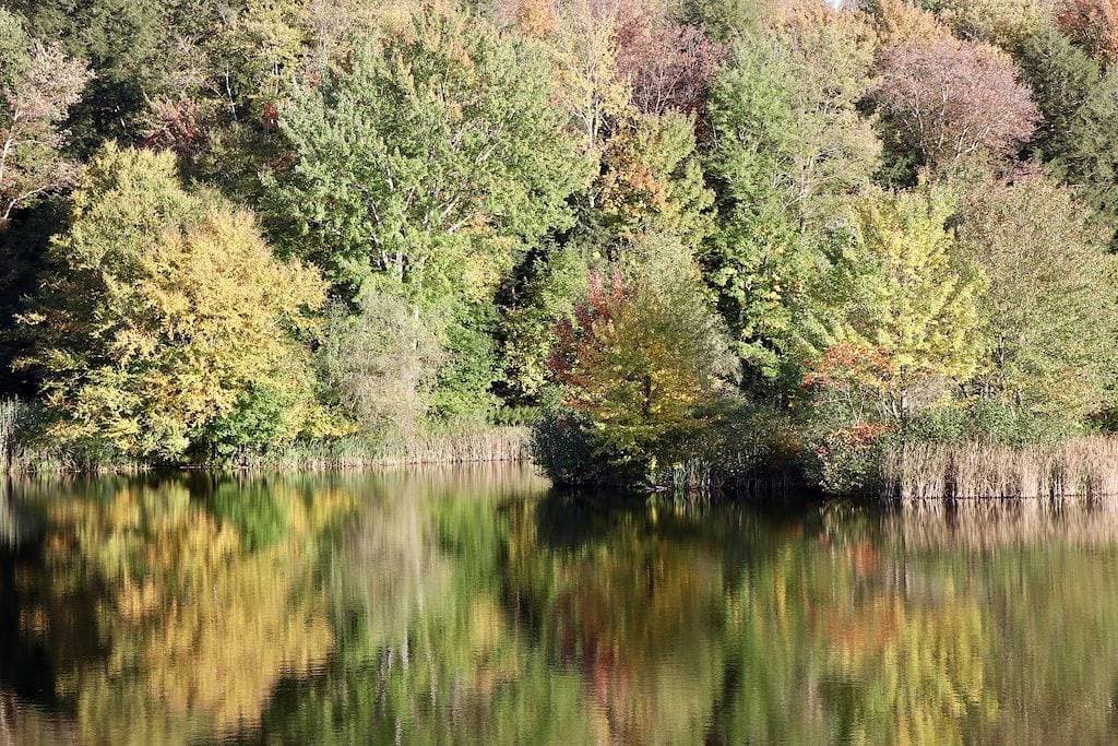 Foto 3 von 23: Privater See am plätschernden Wasser Ein-Raum-Kabine