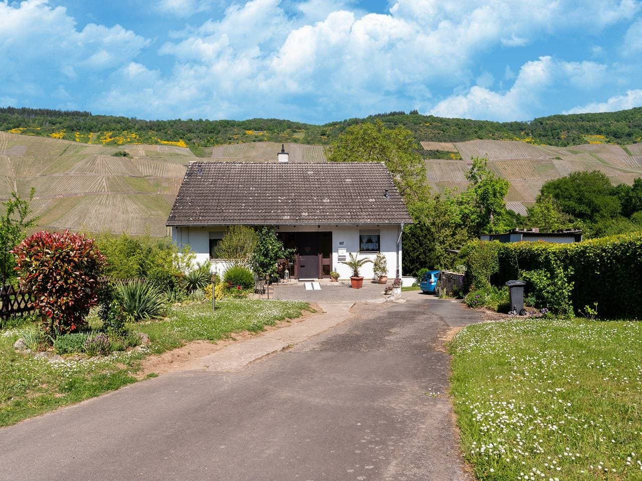 Mosel-Weinberg-Ausflug 1