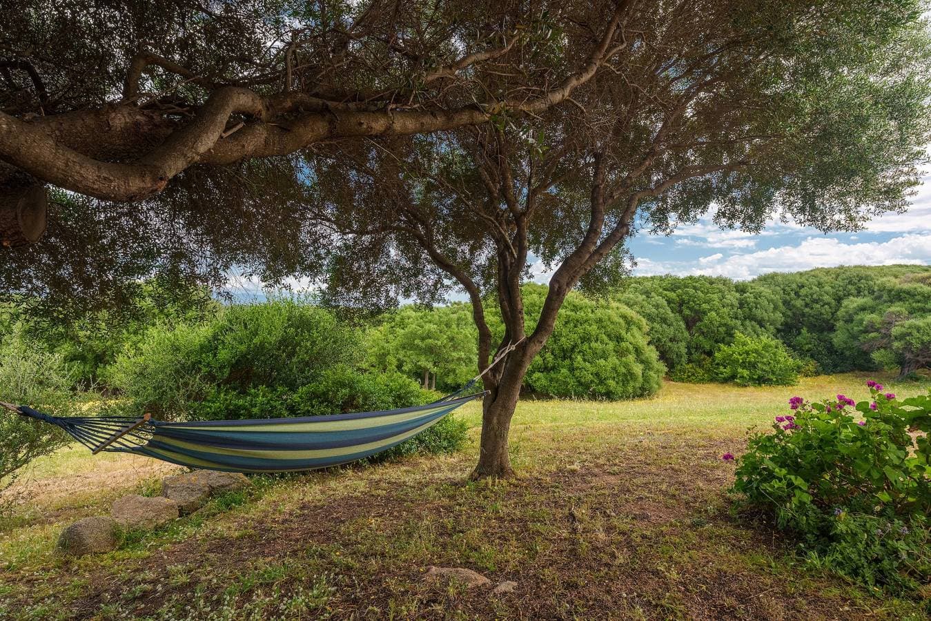Foto 4 von 34: Ferienwohnung 'Stella Marina Piscina E Vista Mare' mit Meerblick, Wi-Fi und Klimaanlage