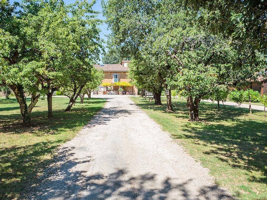 Foto 4 von 44: Les Chalets De Fiolles - Chalet 4 personen - Chalet Pmr Confort - 1 Schlafzimmer - Klimaanlage - TV - BBQ - Reinigung* - 35m2 + überdachte Terrasse von 14m2