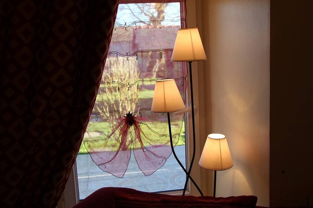 Foto 7 von 29: Orchidee