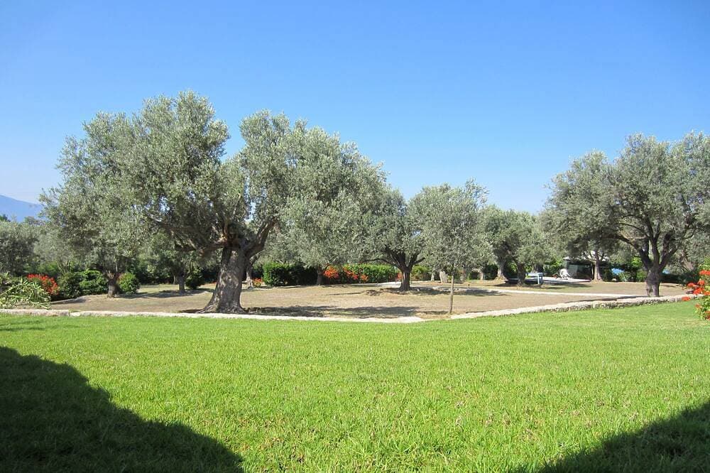 Foto 9 von 21: Villa umgeben von Olivenhainen, 200 Meter vom Meer entfernt