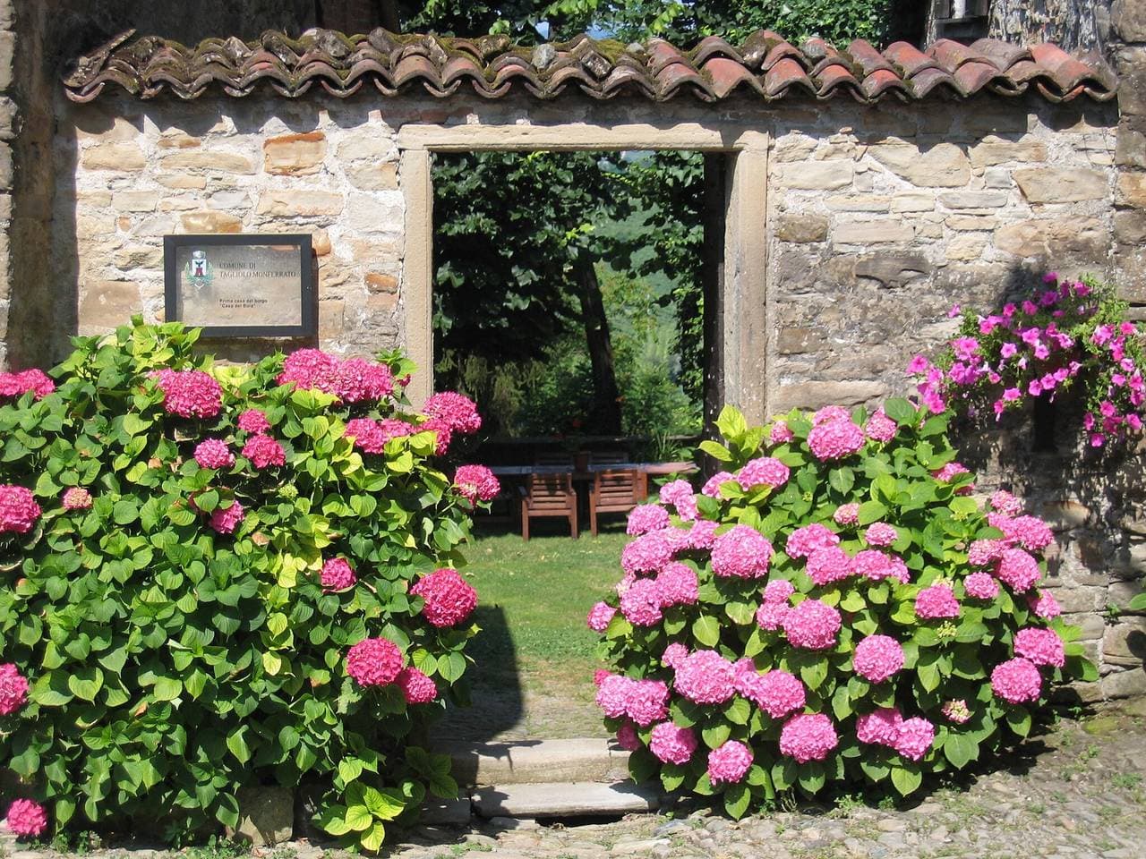 Foto 2 von 72: Gästehaus in Monferrato mit Weinverkostung