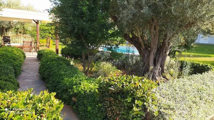 Foto 4 von 46: Villa für 14 Personen mit Balkon
