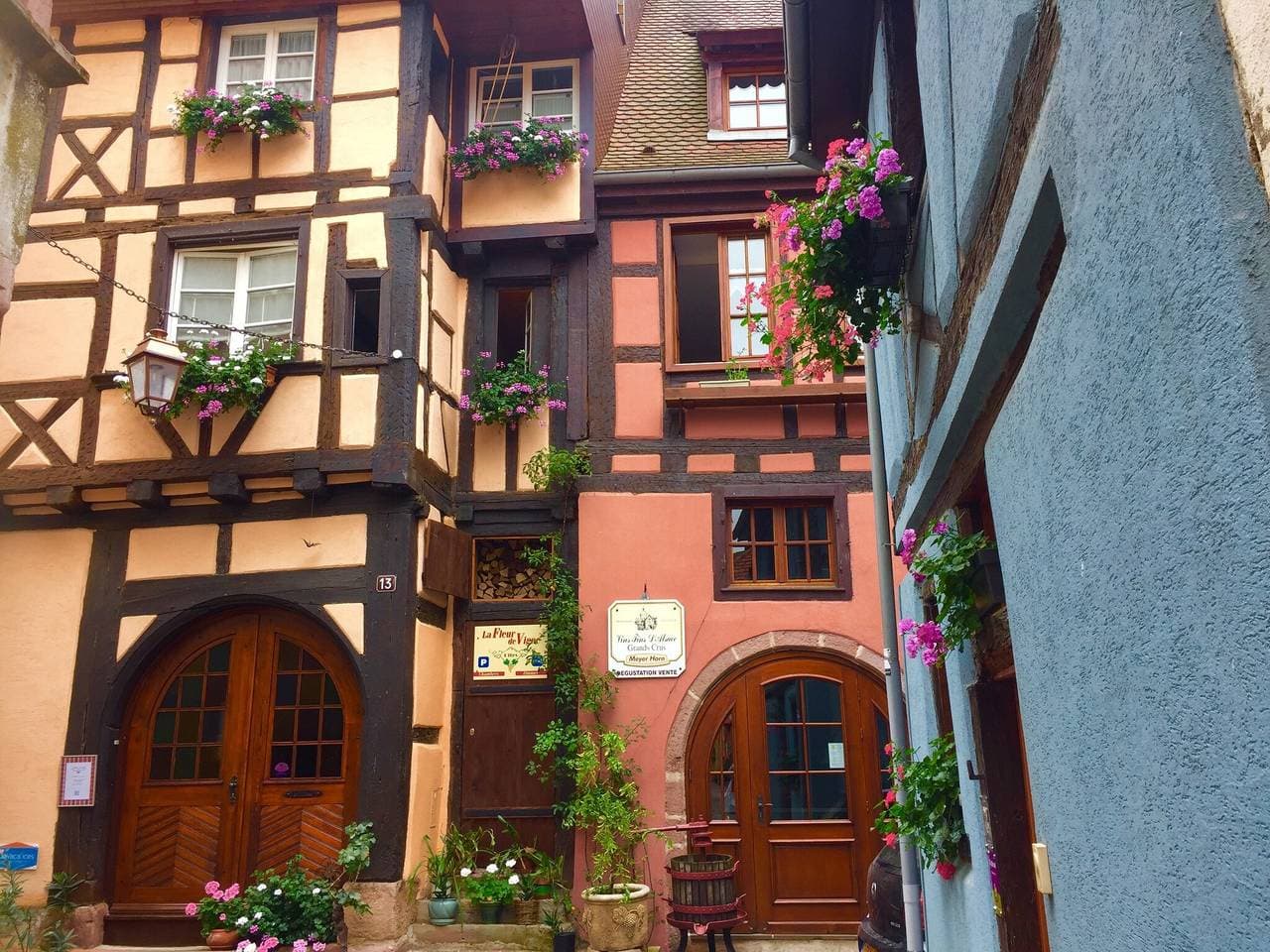 Foto 12 von 60: Wohnung in Riquewihr bei Weinbergen