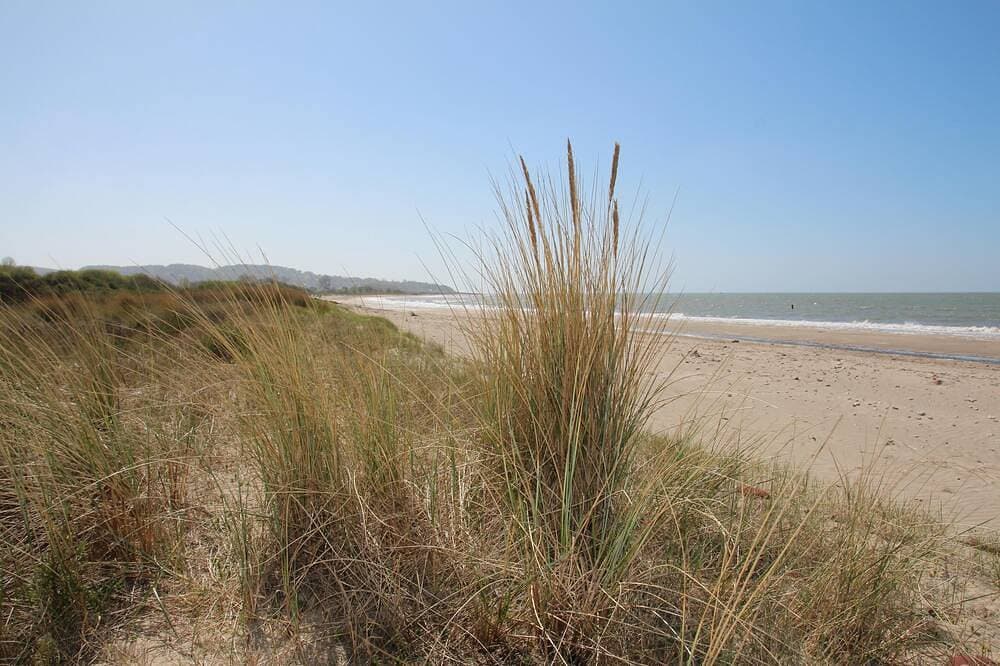 Der Turm von La Mare aux Loups zwischen Meer und Wald 1